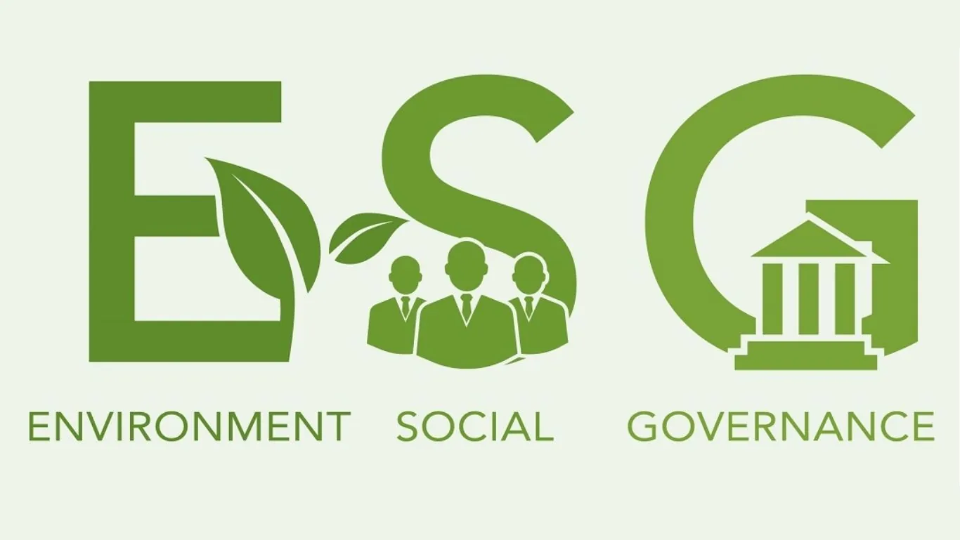 Ecovadis esg consulting rating improvement