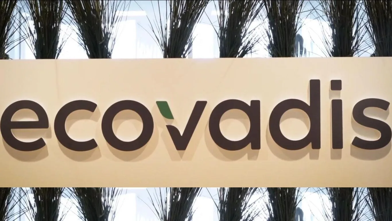 Ecovadis esg consulting rating improvement
